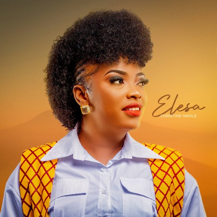 Christine Nkole Aleisa Mp3 Download